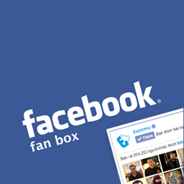 Facebook Fanbox